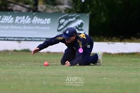 Image result for Wellingborough Town Cc