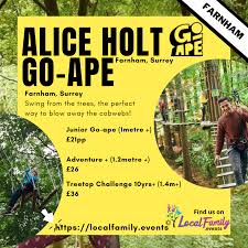 Image result for Go Ape! Alice Holt
