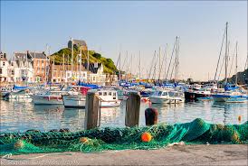 Image result for Ilfracombe & N Devon