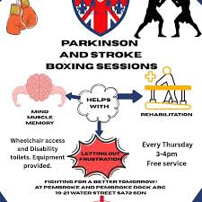Image result for Pembroke & Pembroke Dock Amateur Boxing Club