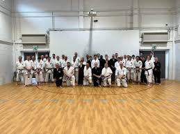 Image result for Sandokai Karate