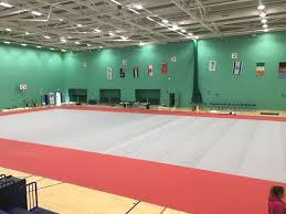 Image result for Sports Centre Netball