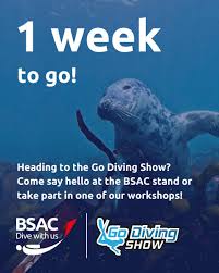 Image result for British Sub-Aqua Teesside 43 Branch