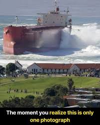 Image result for Pasha bulker