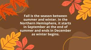 Bildergebnis für Fall…