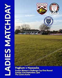 Image result for Hassocks Ladies FC