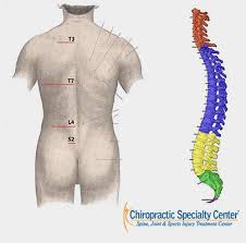 Image result for Curves