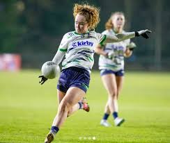 Image result for University Of Limerick Gaa Hurling Club