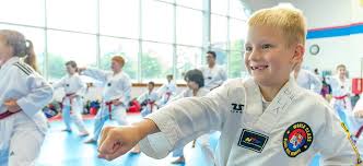 Image result for Ashford School Of Taekwondo