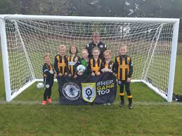 Image result for Brendon Bees Junior Football Club