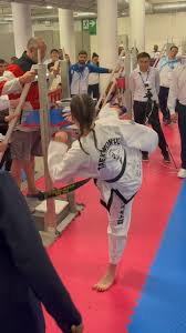 Image result for Taunton Karate academy