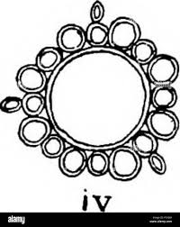 Attēlu rezultāti vaicājumam “Chara rudis”