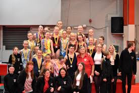 Image result for North Devon Display Gymnastics Club