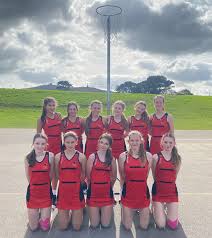 Image result for Penryn Netball Club