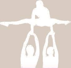 Image result for Elements Acro