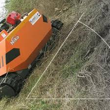 Image result for pfanzelt tehron