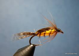 Attēlu rezultāti vaicājumam “Macrosteles nymph”