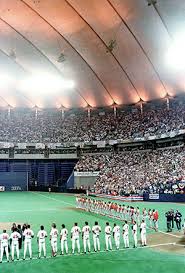 Image result for Metrodome Indoor Bowls Club