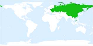 Attēlu rezultāti vaicājumam “Silene borysthenica”