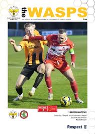 Image result for East Grinstead Town Football Club