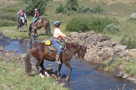Image result for Elstead Riding Club