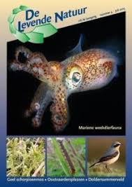 Attēlu rezultāti vaicājumam “Hamatocaulis vernicosus”