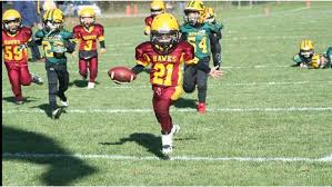 Image result for Hedingham Hawks Youth Football Club