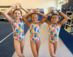 Image result for Appley Bridge Gymnastics Club