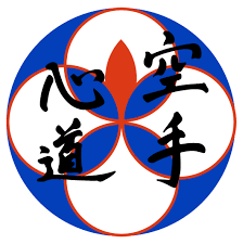 Image result for Ji Shin Do Karate