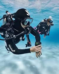 Image result for Robin Hood Dive School
