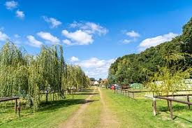 Image result for Warner Lakeside Indoor Bowls Club