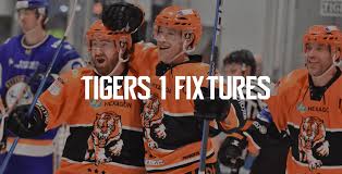 Image result for Telford Junior Ice Hockey Club