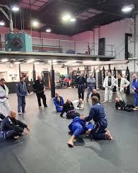 Image result for Bristol Dojo MMA