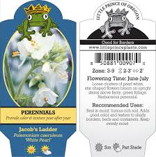 Attēlu rezultāti vaicājumam “Polemonium caeruleum fruit”