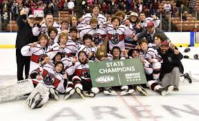 Image result for Hersham Hockey Club