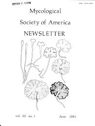 Attēlu rezultāti vaicājumam “Badhamiopsis macrospora macro”