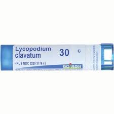 Attēlu rezultāti vaicājumam “Lycopodium clavatum”
