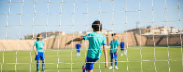 Image result for Ballyhegan Davitts Gaa Club