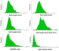 Attēlu rezultāti vaicājumam “Lasioptera rubi larva”