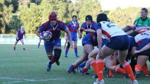 Image result for Sudbury Rugby Union Football Club