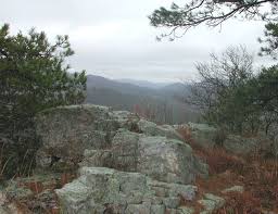 Image result for SEM micrographs of Novaculite Arkansas