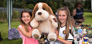 Image result for Glazebury Cricket Club