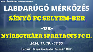 Image result for sényő