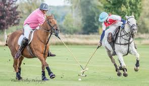 Image result for Cambridge and Newmarket Polo Club