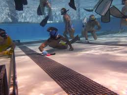 Image result for Jersey Octopush Club