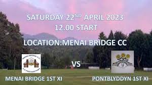 Image result for Pontblyddyn Cricket Club