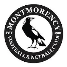 Image result for Monmouth Netball Club