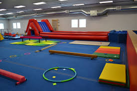 Image result for Redcar School Of Gymnastics