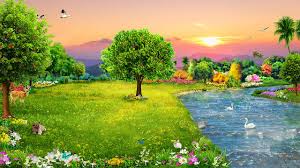 Image result for foto criação de deus