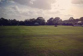 Image result for Buscot Park Cricket Club